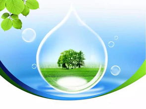 每日聚焦 保護環境是每個人的義務