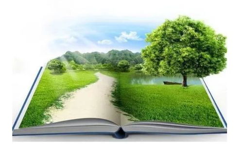 環保政策對工程項目的風險與應對